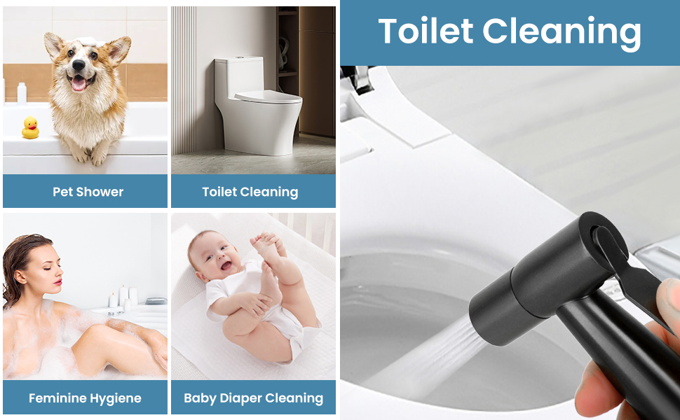 Toilet Sprayer with hose pipe